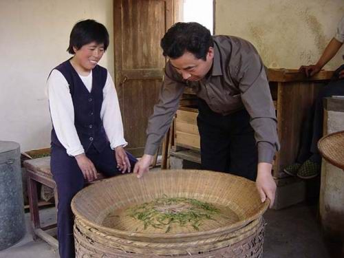 太平猴魁制作.jpg 太平猴魁制作.jpg