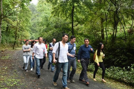 省“政協(xié)江淮行”赴黃山六百里猴魁茶業(yè).jpg 省“政協(xié)江淮行”赴黃山六百里猴魁茶業(yè).jpg