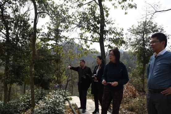 長(zhǎng)石紅一行到六百里桃源基地參觀.jpg 長(zhǎng)石紅一行到六百里桃源基地參觀.jpg