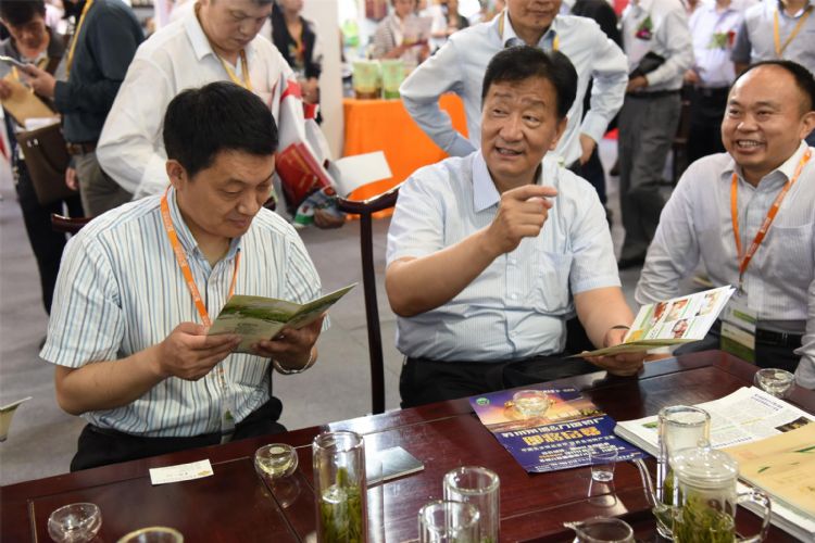 百年榮耀中國茶六百里猴魁.jpg 百年榮耀中國茶六百里猴魁.jpg