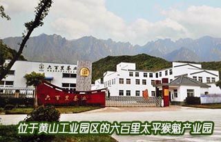 黃山六百里猴魁茶業(yè)有限公司董事長(zhǎng)鄭中明訪談錄.jpg 黃山六百里猴魁茶業(yè)有限公司董事長(zhǎng)鄭中明訪談錄.jpg