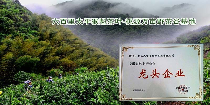 林業(yè)產(chǎn)業(yè)化龍頭企業(yè).jpg 林業(yè)產(chǎn)業(yè)化龍頭企業(yè).jpg