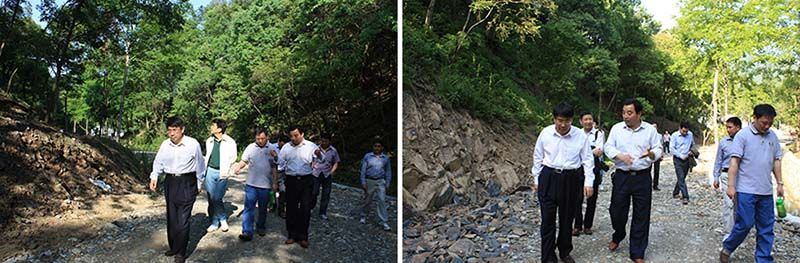 考察桃源野茶谷示范區(qū).jpg 考察桃源野茶谷示范區(qū).jpg