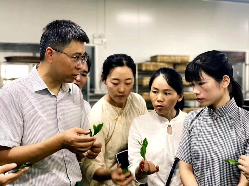 1692491561243055.jpg 70592ed45bce3e8b79b52dbe65fed80.jpg