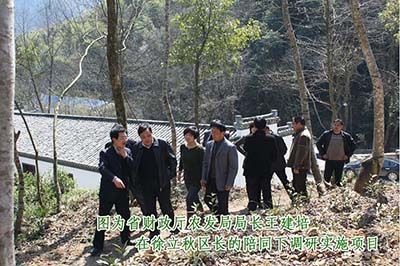 六百里猴魁調(diào)研.jpg 六百里猴魁調(diào)研.jpg